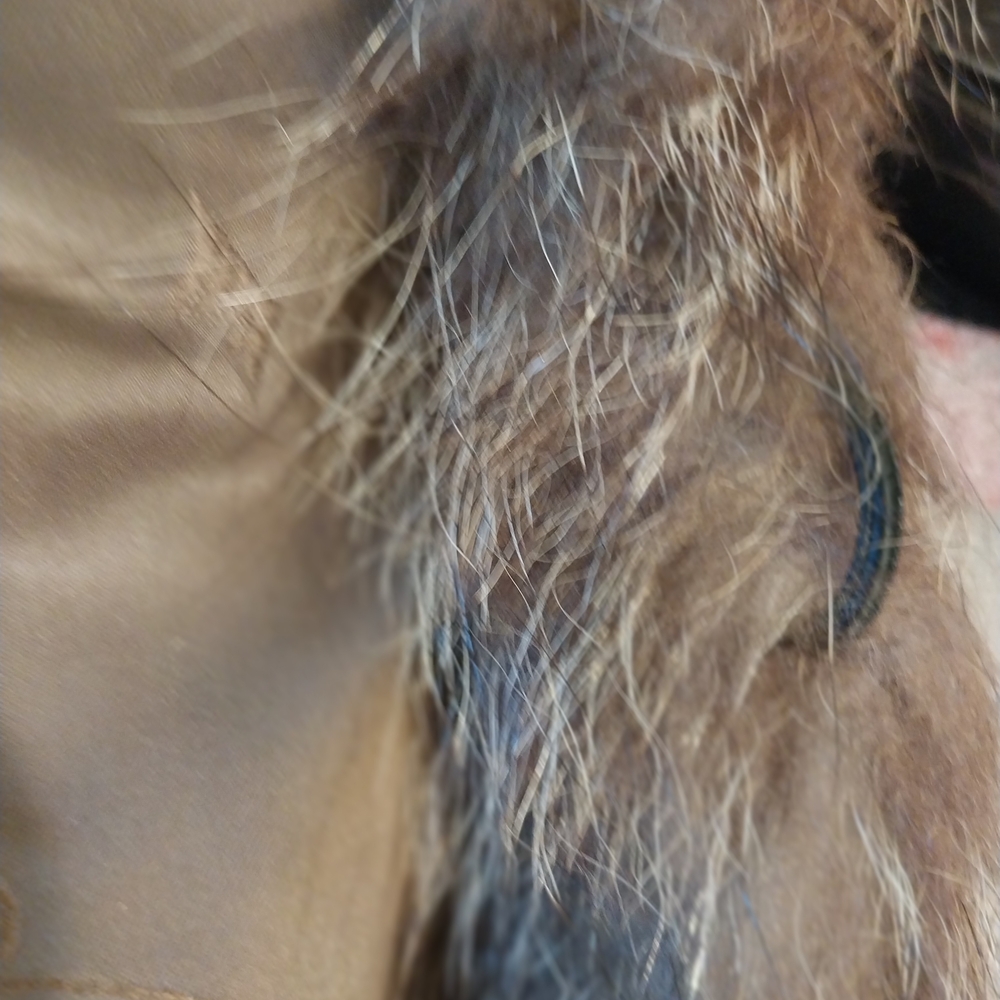 Luxurious fur coat ** READ DESCRIPTION** - Picture 8 of 8